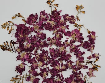 Air Dried Pink Stock Flowers, 60 Small Pieces