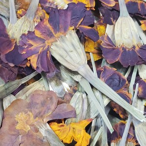 May include: Dried marigold petals in shades of orange, yellow, and purple. The petals are arranged in a pile, with some of the stems still attached.