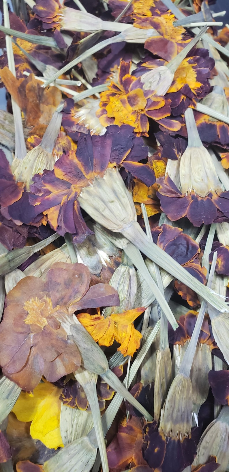 May include: Dried marigold petals in shades of orange, yellow, and purple. The petals are arranged in a pile, with some of the stems still attached.