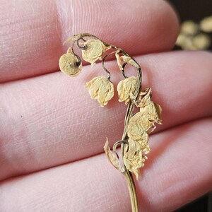 Puede incluir: Primer plano de flores secas de lirio de los valles. Las delicadas flores en forma de campana son de color amarillo p&aacute;lido, con un tallo delgado y marr&oacute;n. Las flores se sostienen en una mano, con un fondo oscuro.
