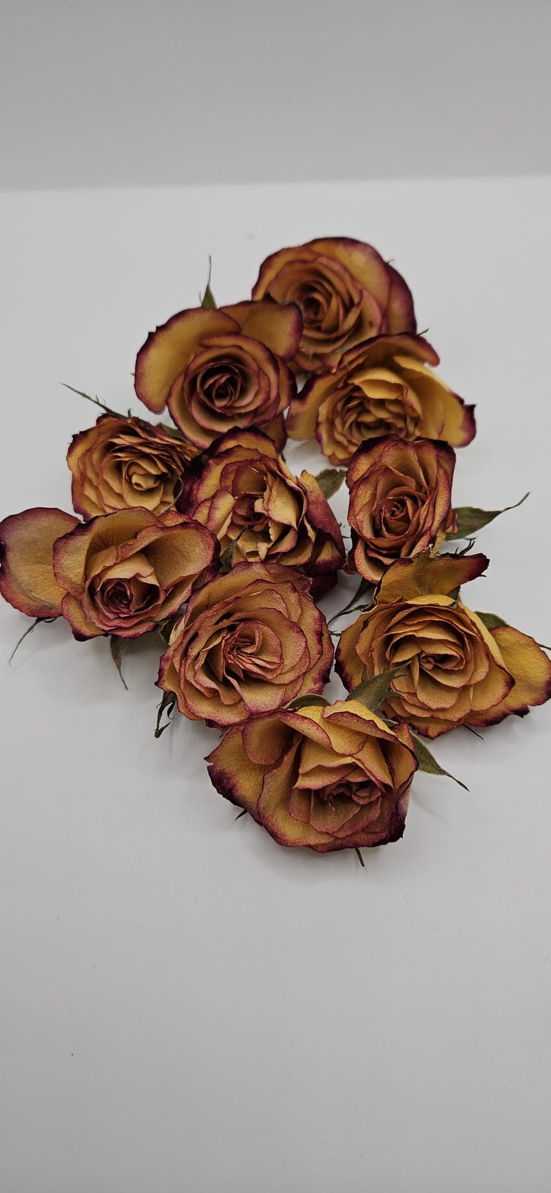 Preserved Spray Roses, 8 Pieces immagine 2