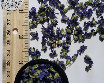 Wild Violets, Air Dried Flowers for resin