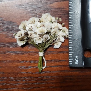 Best Flowers for Wedding Invitations, Pressed Baby's Breath, Wax Seal, Gypsophila