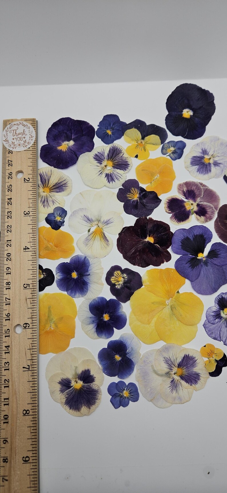 Pressed Dried Pansy Set, Pressed Flowers, 30 pcs image 5