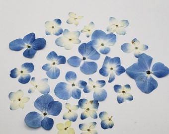 Pressed Hydrangea Flowers, Dry Flowers for Crafts, Jewelry, Candles, Resin, 20 - 30 pieces