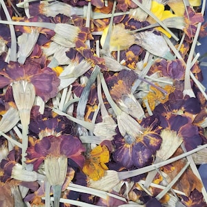 May include: A close-up of a pile of dried marigold petals in shades of orange, yellow, and purple. The petals are arranged in a random pattern and have a slightly wrinkled texture.