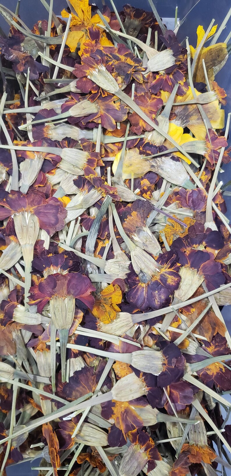 May include: A close-up of a pile of dried marigold petals in shades of orange, yellow, and purple. The petals are arranged in a random pattern and have a slightly wrinkled texture.