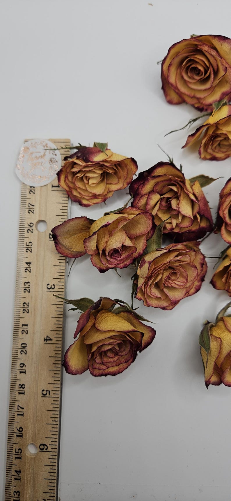 Preserved Spray Roses, 8 Pieces immagine 5