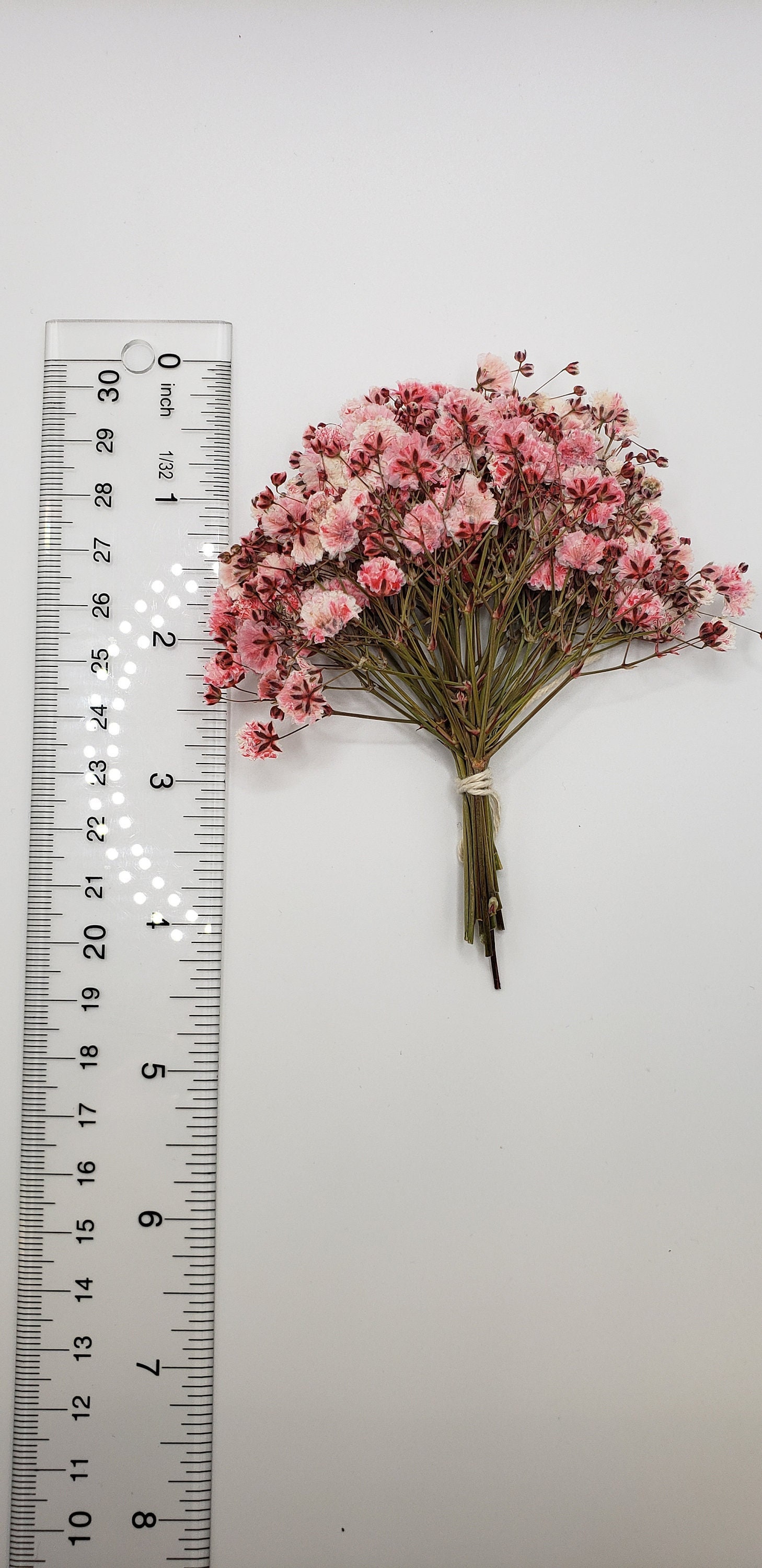 DongArts Natural Pink Babys Breath Bouquet, Preserved Rose White&Light  Pink, 17 inch 100% Dried Gypsophila Flowers Branches Real Flower for Home