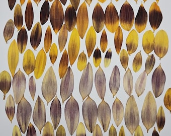 Sunflower Petal Mix, 40 Pieces