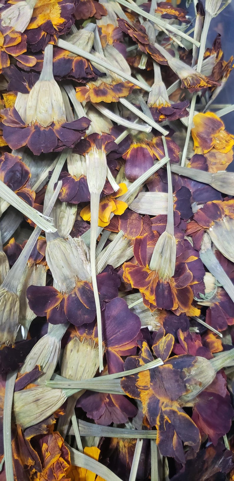 May include: A close-up of dried marigold petals in shades of orange, yellow, and purple. The petals are arranged in a random pattern, creating a colorful and textured background.