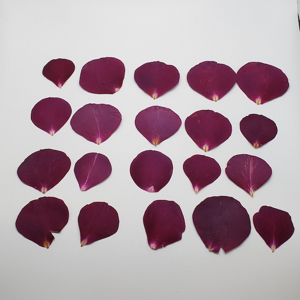 Pressed Dried Small Red Rose Petals, Real Rose Petals, for Resin