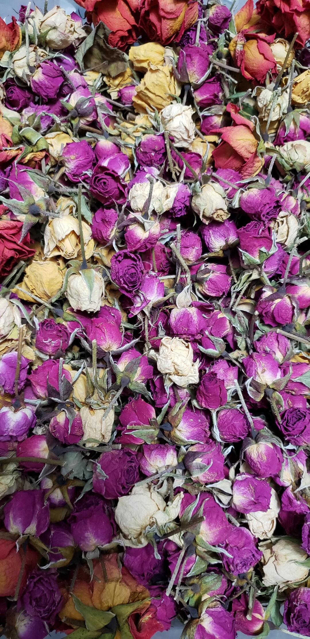 Dried Spray Rose Heads - Etsy