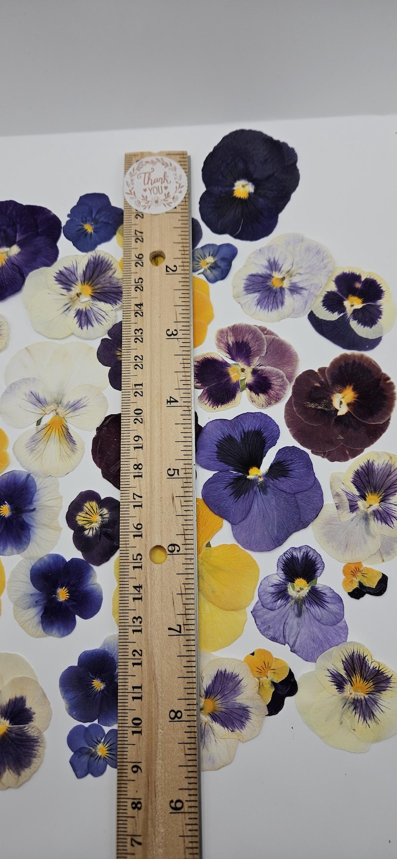 Pressed Dried Pansy Set, Pressed Flowers, 30 pcs image 6