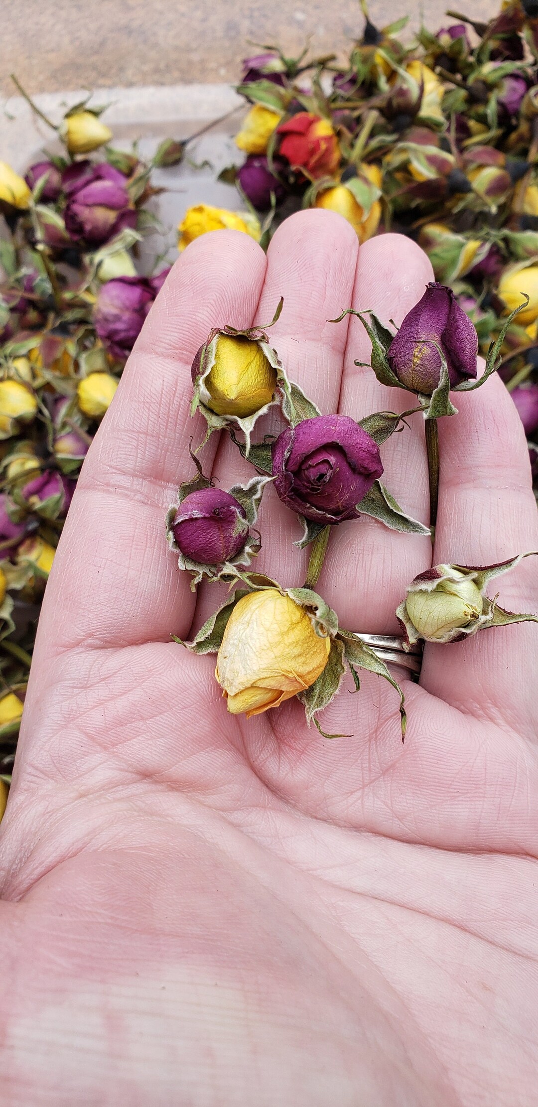 The Cutest Mini Rose Buds for Jewelry Making, for Resin, for Small