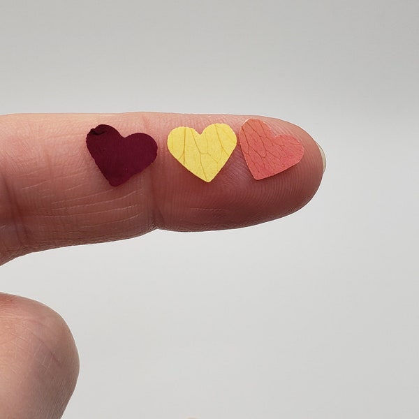 50 Mini Rose Petal Hearts, Hole Punched Real Rose Petals