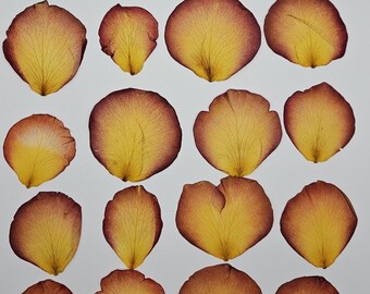 Pressed Rose Petals, 20 Pieces