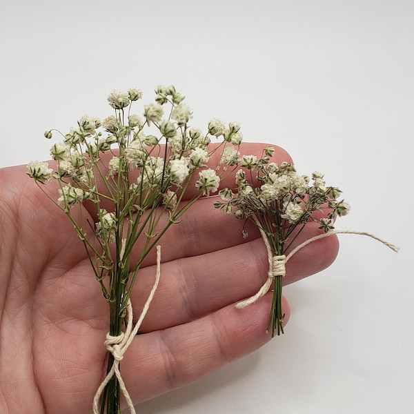 Air Dried Baby's Breath Bouquet, Small Flower Bouquet for Small Crafts, for Wedding, Gypsophila