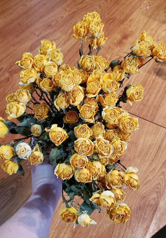 Yellow Rose Bouquet, Air Dried Mini Roses Flower for Crafts, Home Decor,  for Framing, for Resin 