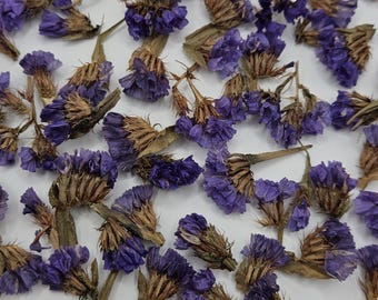 Statice Flowers, 50 Pieces, Vintage Edition
