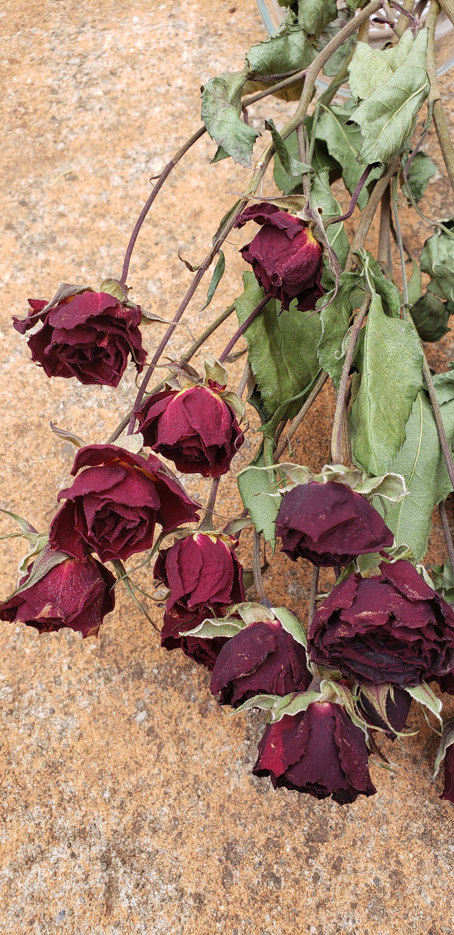 Air Dried Mini Red Rose Bouquet - Etsy