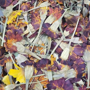May include: A close-up of a pile of dried marigold petals in shades of orange, yellow, and purple. The petals are scattered randomly and some are still attached to their stems.