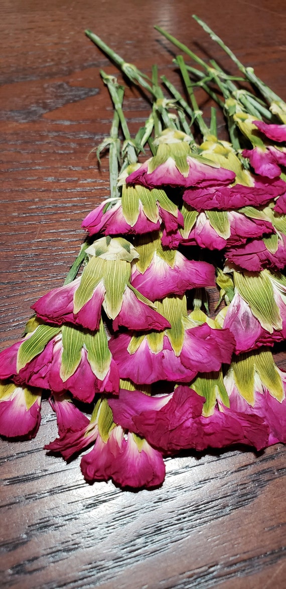 Pressed Pink Carnations, Dried Small Flower for Resin
