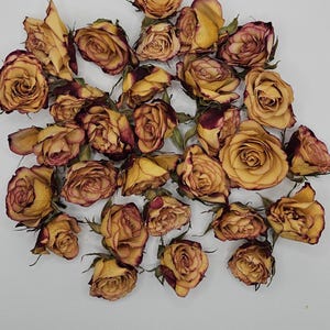 Preserved Spray Roses, 8 Pieces immagine 1