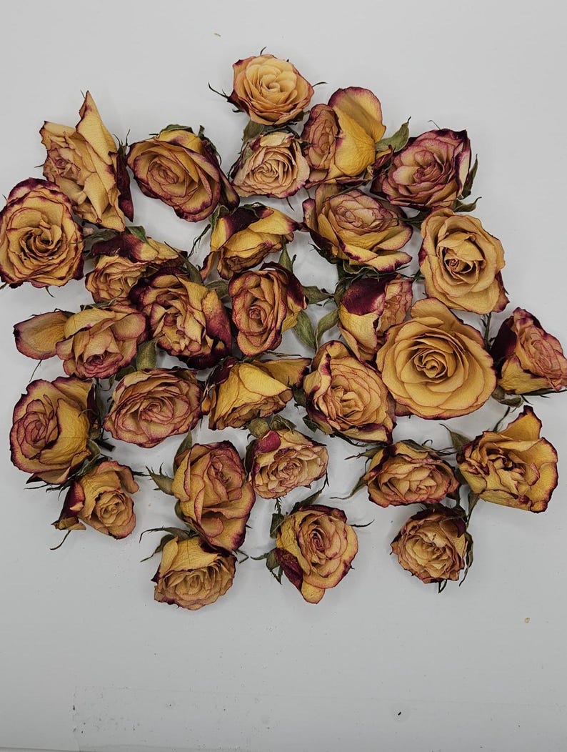 Preserved Spray Roses, 8 Pieces immagine 1