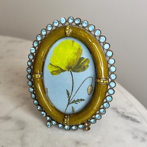 VERY RARE COLOR combination Jay Strongwater Emilia Oval frame retired