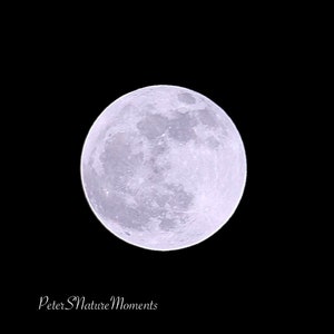Me faça voar até a lua