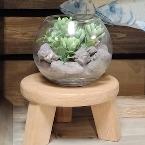 Op de afbeelding: Een klein, rond glazen terrarium met groene succulenten en grijze stenen, dat op een houten kruk met vier poten staat.