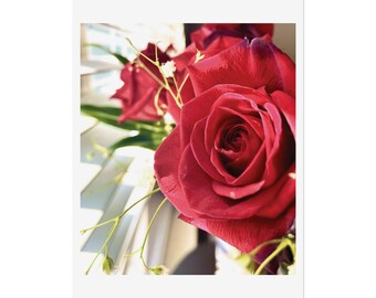 Roses (Fine Art Print by F. Lockhart)