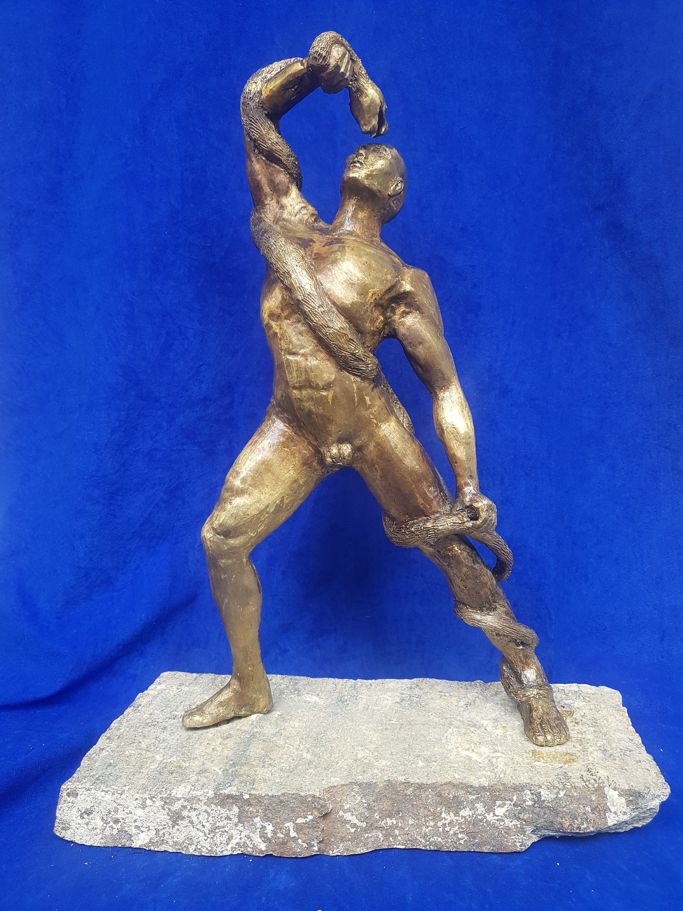 An Athlete Wrestling With a Python Etsy