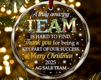 Employee Appreciation Christmas Ornament 2025 – Personalized Team Gift, Thank You Ornament for Staff, Corporate Holiday Keepsake AR50