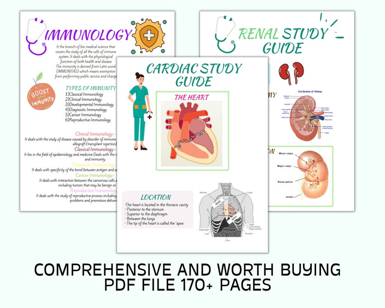 Anatomy And Physiology Nursing Anatomy Study Guide Anatomy Etsy Anatomy and physiology nursing anatomy study guide anatomy etsy