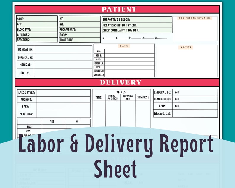 Labor and Delivery Report Sheet Mother Baby Nurse Report - Etsy Singapore