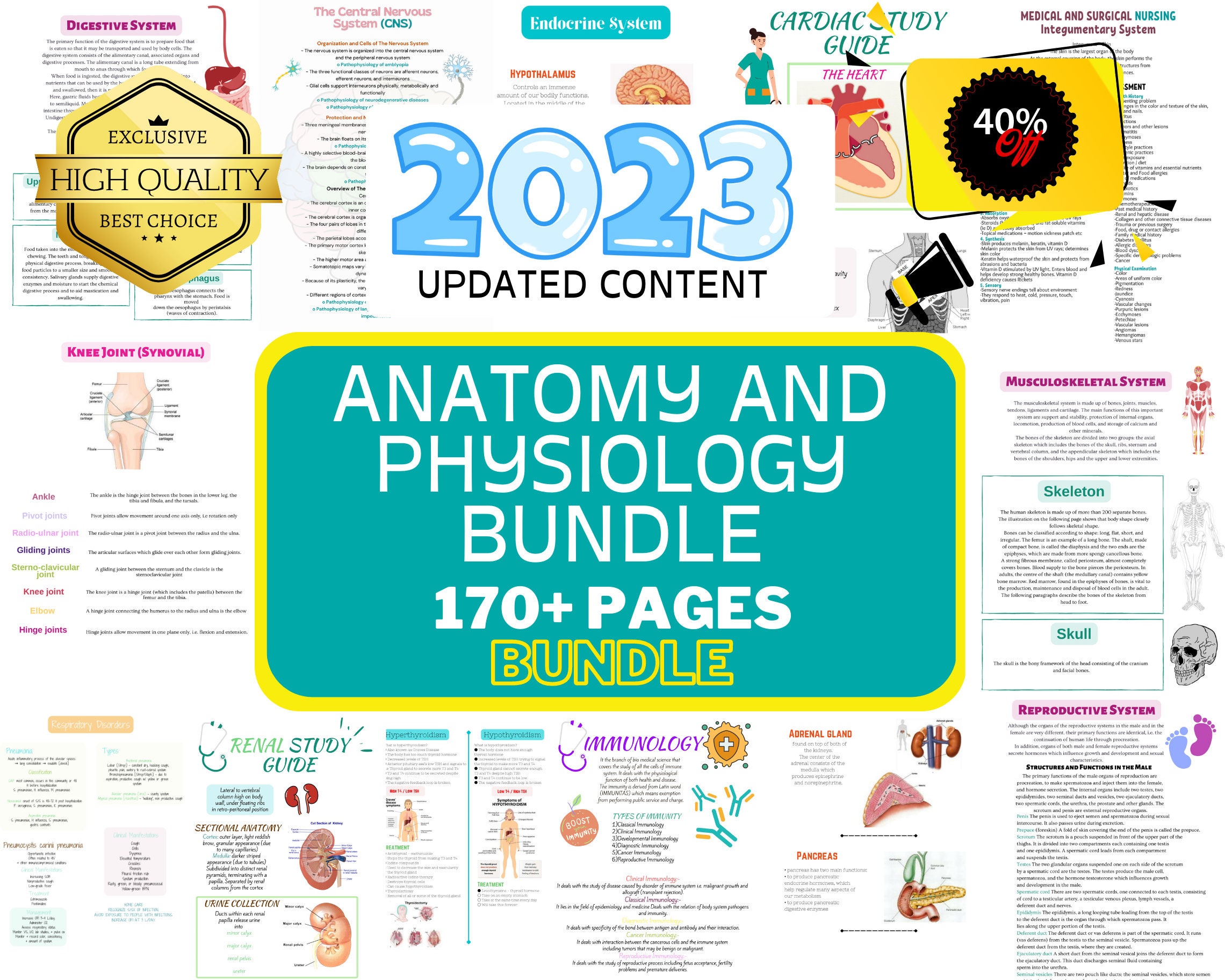 anatomy-and-physiology-nursing-anatomy-study-guide-anatomy-etsy