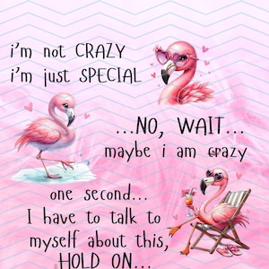 May include: Pink flamingo graphic with the text "i'm not CRAZY i'm just SPECIAL...NO, WAIT...maybe i am crazy one second...I have to talk to myself about this, HOLD ON..."