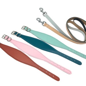 Padded leather hound dog collar & lead set. Pastel colours padded dog collars hand made in the UK from genuine leather