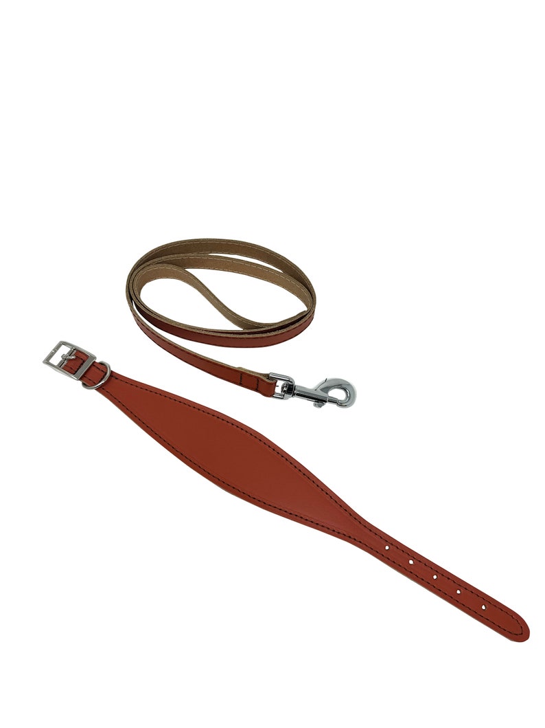 Padded leather hound dog collar & lead set. Pastel colours padded dog collars hand made in the UK from genuine leather