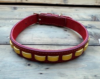 Collar para perro de cuero de grano completo con ajuste de latón macizo - collar de exhibición - adecuado para bull terrier, staffordshire bulldog - forro de gamuza