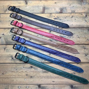 May include: Seven leather dog collars in different colors, including black, brown, red, tan, purple, blue, and green. The collars are arranged in a diagonal line, with the black collar at the top and the green collar at the bottom.