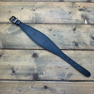 May include: Black leather dog collar with a brass buckle and the name "CHIP" embossed on the front.