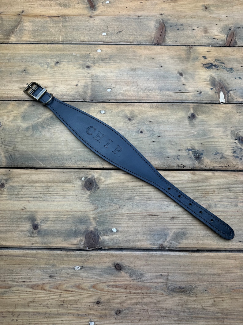 May include: Black leather dog collar with a brass buckle and the name "CHIP" embossed on the front.