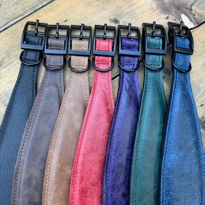 May include: A collection of seven leather collars arranged side by side, featuring black metal buckles and D-rings. The collars come in black, dark brown, tan, red, purple, dark green, and blue, each displaying a distinct textured grain finish.