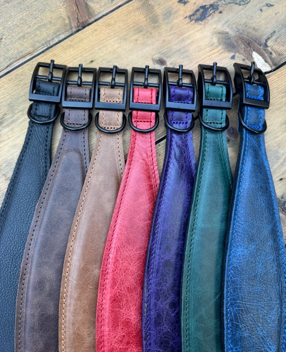 Leather Sighthound collar - Soft padded collar - Suede lined and padded- Whippet - Lurcher - Martingale - Luxury - Genuine Leather - UK Made