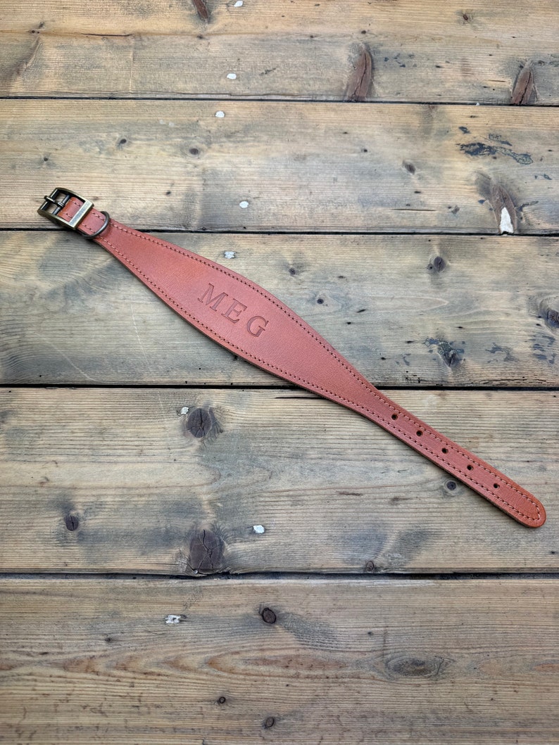 May include: A brown leather dog collar with a brass buckle and the name "MEG" embossed on the front.