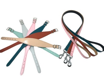 Leather Greyhound Collar And Lead Set Suitable For Whippets Lurchers Made In UK Padded Leather Hound Collar Pastel Colours