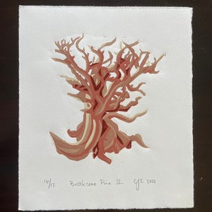 Bristlecone Pine Reduction Linocut Print, Limited Edition, Great Basin National Park, Reliëf Print, Handgemaakt